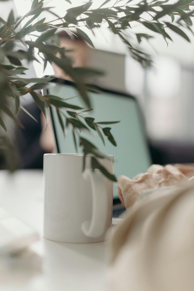 A bright, minimal workspace with a laptop, a mug, and a leafy plant in natural light