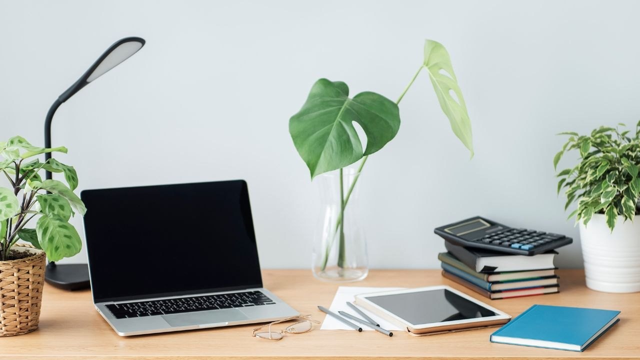 A bright workspace with a laptop surrounded by green plants